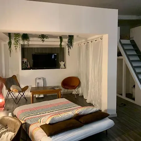 Loft Casa Wi Hyper Centre - Parking-clim * بيربينيو